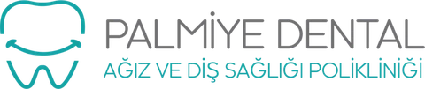 PALMDENT SAĞLIK HİZMETLERİ EĞİTİM İTHALAT İHRACAT logosu